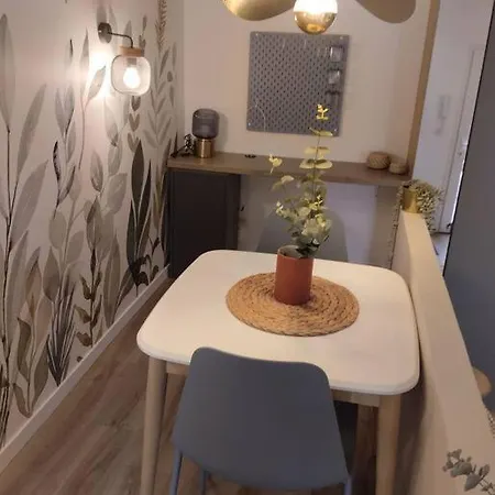 Appartement Les Salenques à Toulouse Extérieur photo