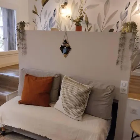 Appartement Les Salenques à Toulouse Extérieur photo