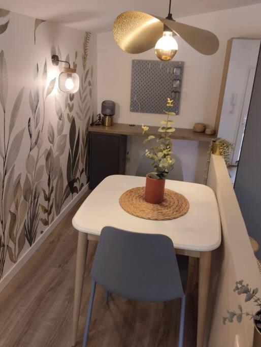 Les Salenques Apartment