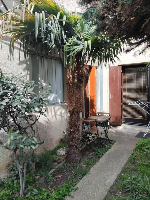 Apartment Les Salenques Toulouse